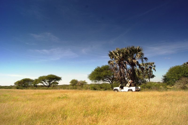 Dornhuegel Guestfarm Hotel Grootfontein Kültér fotó