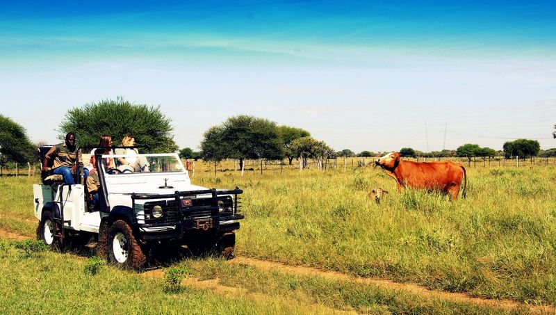 Dornhuegel Guestfarm Hotel Grootfontein Kültér fotó