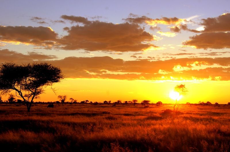 Dornhuegel Guestfarm Hotel Grootfontein Kültér fotó